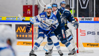 hokej brno
